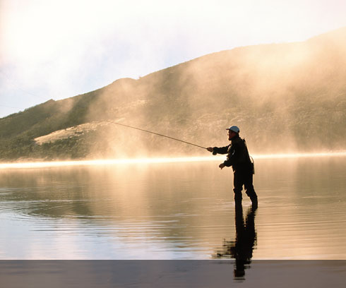 Wild Trout fishing in the Highland Lakes, Cradle Mt