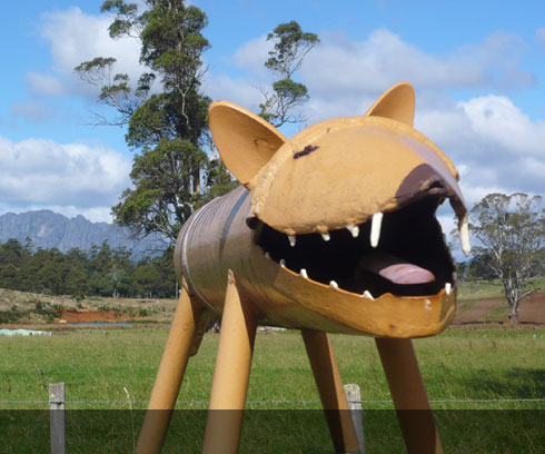 One of many unusual Letterboxes on Wilmot Road from Devonport to Cradle Mt