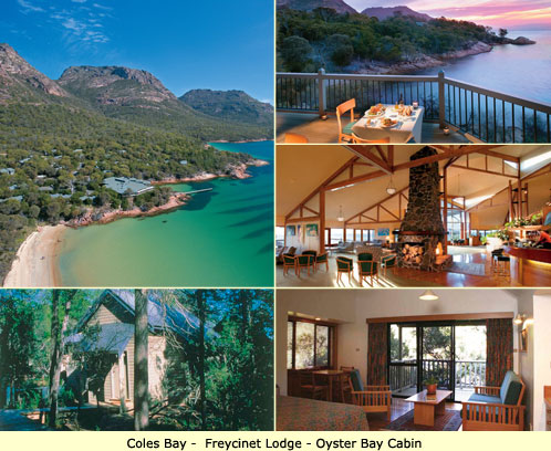 Coles Bay Accommodation for Family of 2 Adults and 2 Children - Freycinet Lodge - Oyster Bay Cabin