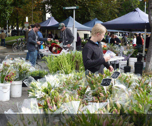 A plentiful supply of quality flowers available at Hobarts Salamanca Markets