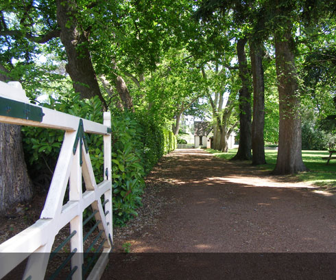 Wonderful gardens surrounding Entally Estate not far from Launceston