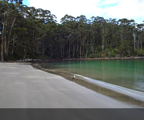 Stewarts Bay near Port Arthur is perhaps Tasmania's best kept secret