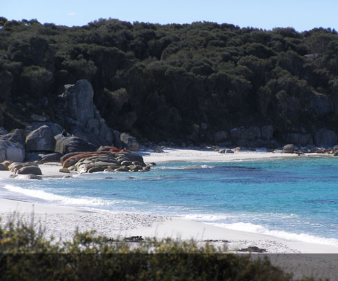 Deserted bays in the Bay of Fires region