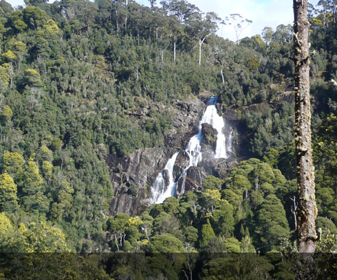 St Columba Falls, Tasmania's highest waterfall near St Helens