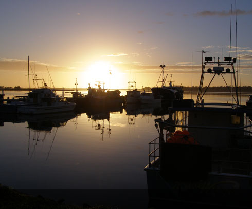 The calm St Helens fishing port - gateway to the Bay of Fires