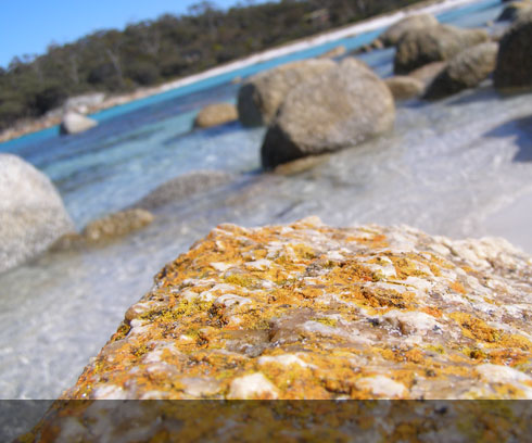 Coastal artistry at the Bay of Fires