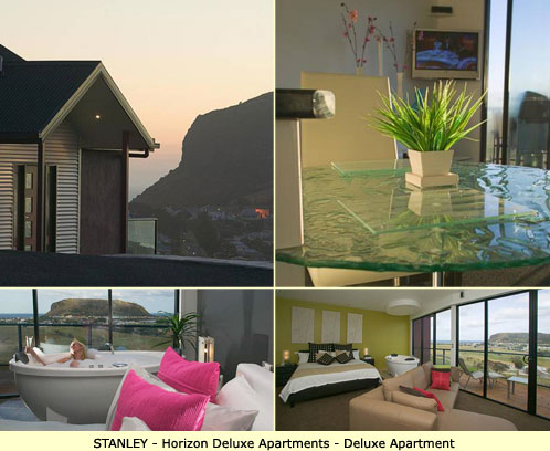 Stanley Honeymoon Accommodation - Horizon Luxury Apartments - Deluxe Apartment