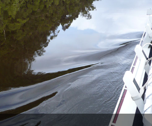 Gliding through the tranquil waters of the Gordon River, Strahan