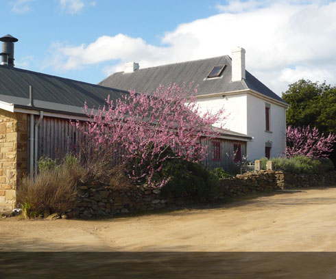 Spring blossoms at the entry to Swansea's Piermont Retreat