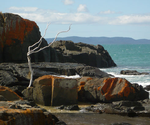 Rocky outcrop on the coast near Swansea