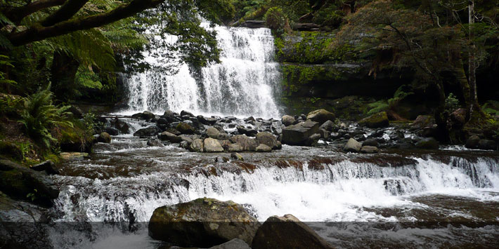 Liffey Falls - Waterfalls in Tasmania