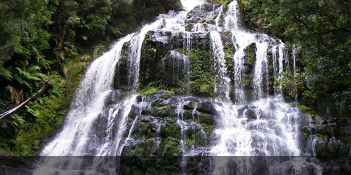 Nelson Falls - Waterfalls in Tasmania