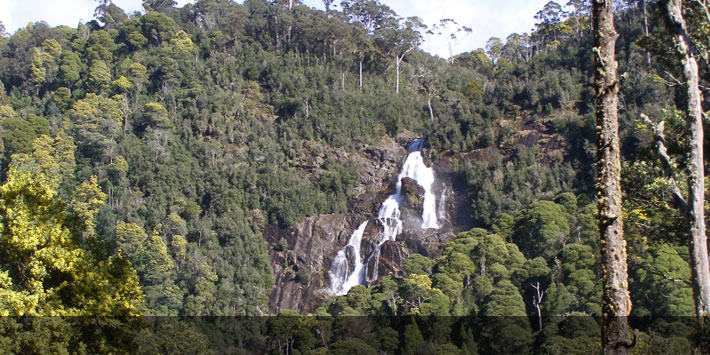 St Columba Falls - Waterfalls in Tasmania